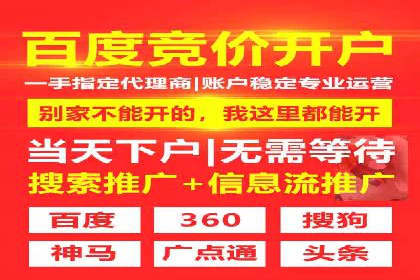 百度竞价排名实战：某行业领先企业的成功之路